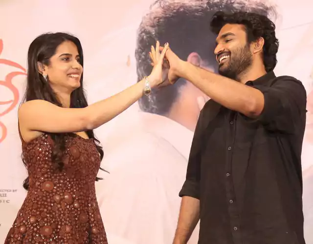 Chennai Love Story Movie Success Meet